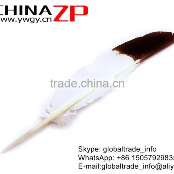 ZPDECOR Hot Selling Plumag Crafts Factory Dyed Brown Tipped Turkey Pointers Quill Large Feathers for Fashion Decorations photo-4