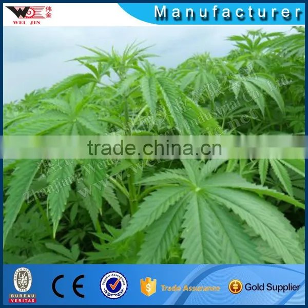 ZGM-4402 Sisal Fiber Extractor Machine 2t/h In Kenya photo-3