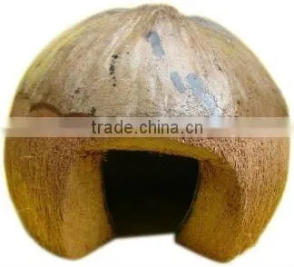 Unique Design Natural Coconut Bird Toy