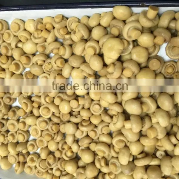 Canned Mushroom Whole in Brine photo-6