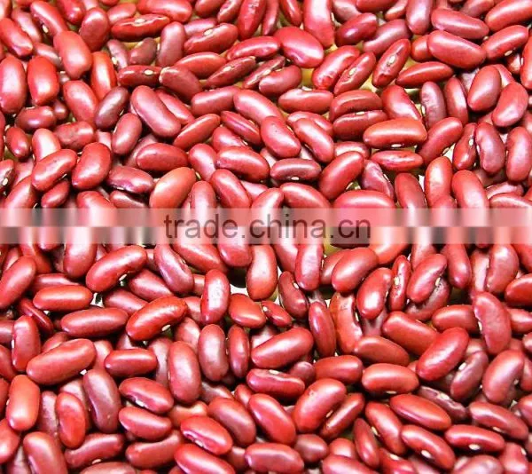 Kidney Beans