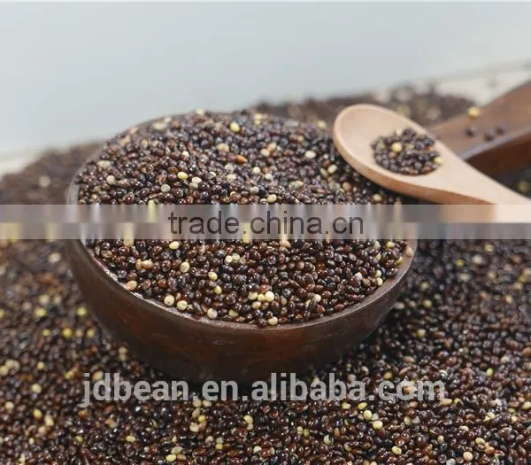 High Quality White Broomcorn Millet (glutinous Broom Corn/proso Millet) photo-6