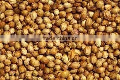 Organic Coriander Seed