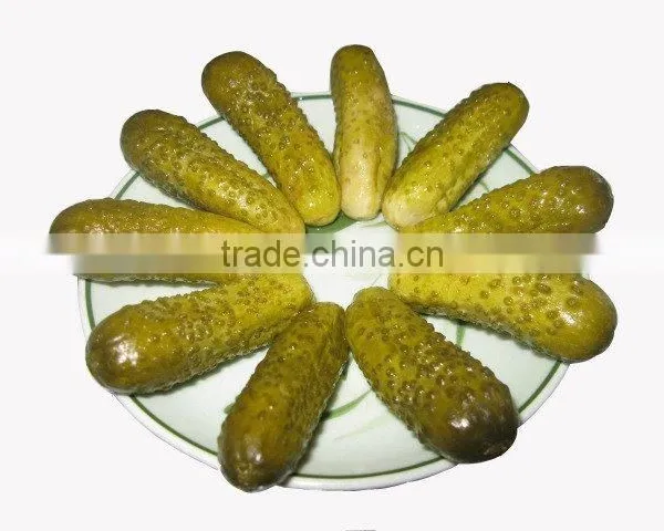 Best Quality Vietnam Fresh Pickled Cucumbers in Jar, Gherkins 3-6cm, 540ml photo-3