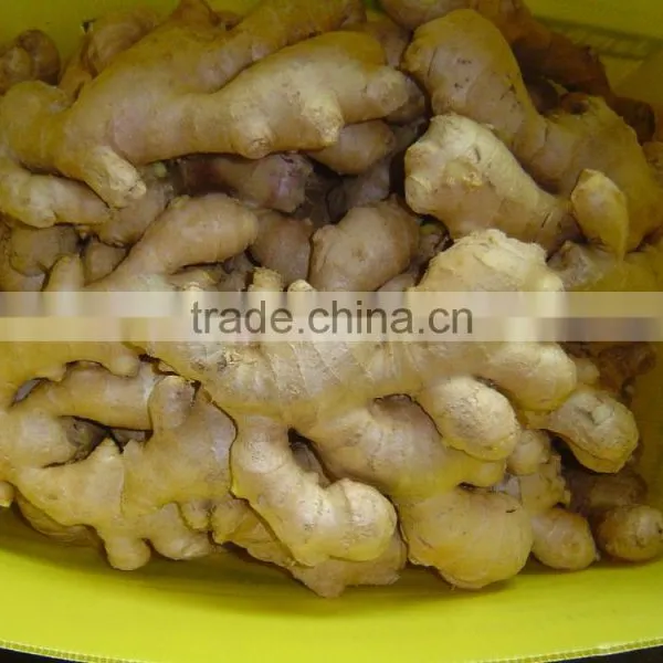 Fresh Air Dried Ginger of Shandong photo-5