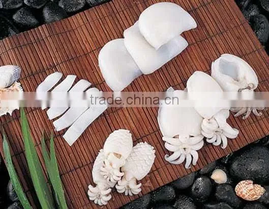Cephalopods Seafood Fresh Squid photo-2