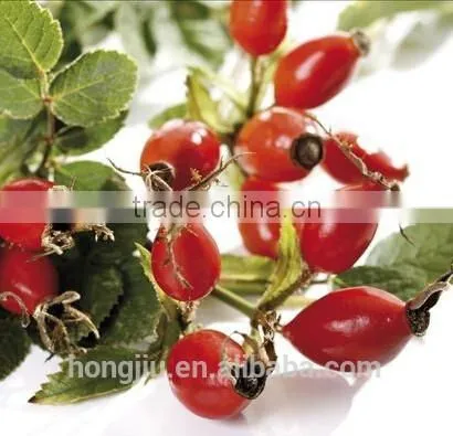 Rose Hip Price