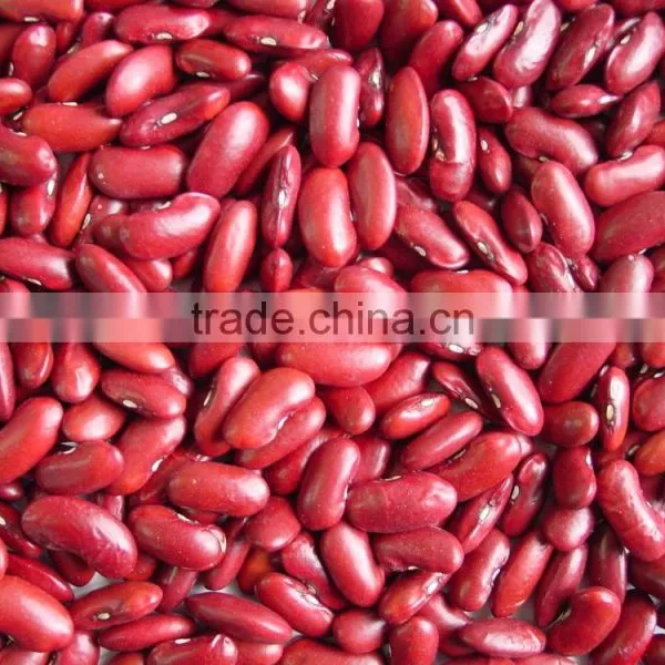 Canned Red Kidney Beans White Kidney Bean photo-3