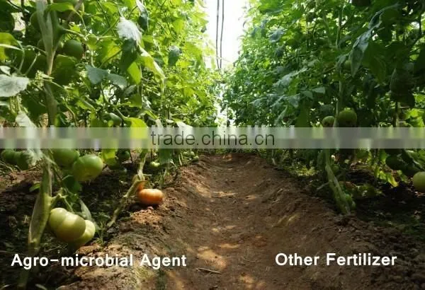 Agro-microbial Agent photo-4