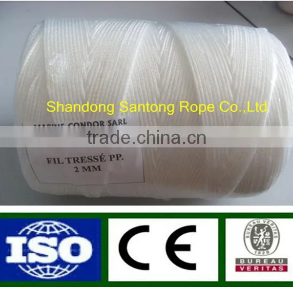 2mm pp Yarn