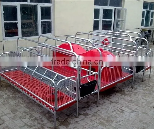 Pig Farming Equipments/sows Obstetric Table photo-3