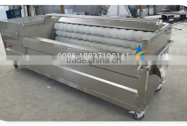 Industrial Brush Type Vegetable and Fruit Washing Machine photo-5