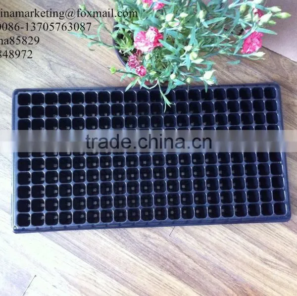 High Quality PS Material Plastic Type Gardening Flower Seed Nursery Tray With 200 Cells photo-2