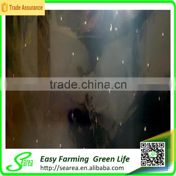 Black and White PE Biodegradable Mulch Plastic Film for Agriculture photo-5