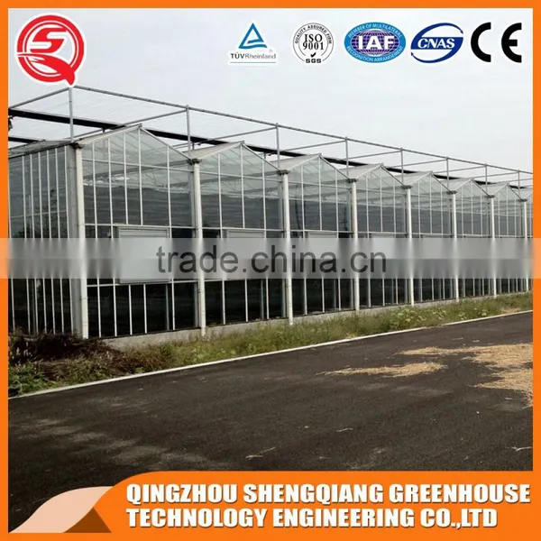 China Venlo Glass Greenhouse/greenhouse Steel Frame Planting Grows photo-2