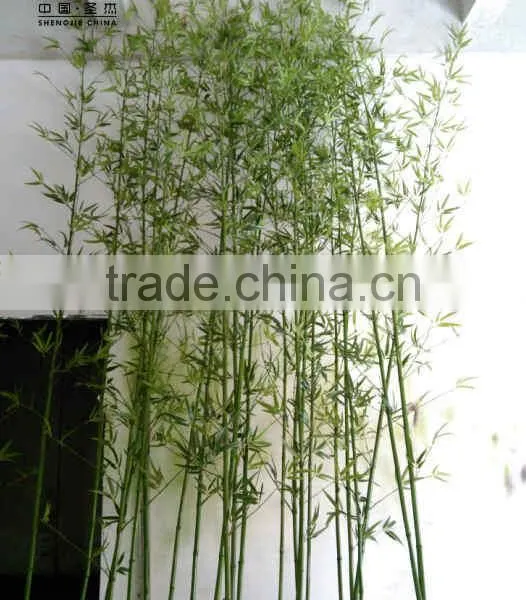 Home Garden Decoration Artificial Outdoor Green Lucky Bamboo Fake Evergreen Bamboo photo-5