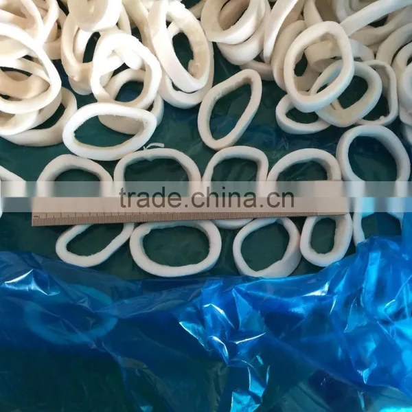 IQF Pacific Squid Tube Rings photo-4