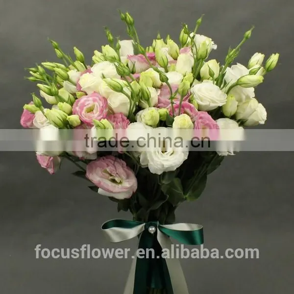2017 New Cut Fresh Eustomas With Factory Price photo-3