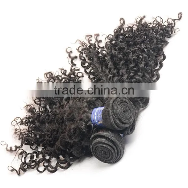 Sy Curly Human Braiding Hair, Different Types Of Curly Weave Hair photo-3