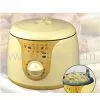 Deep Fryer