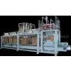 Auto Carton Loading Machine