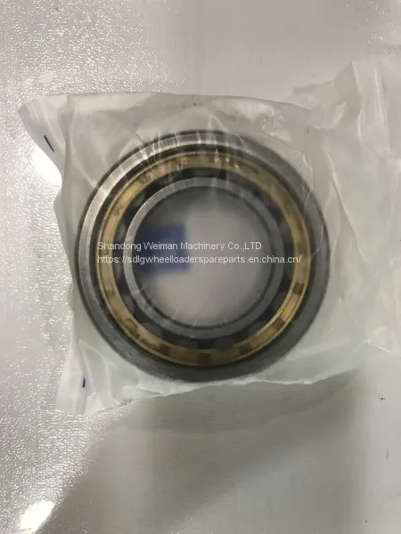 Hot Sale ZF 4WG200 Transmission Gearbox Spare Parts SP10027 Bearing photo-2