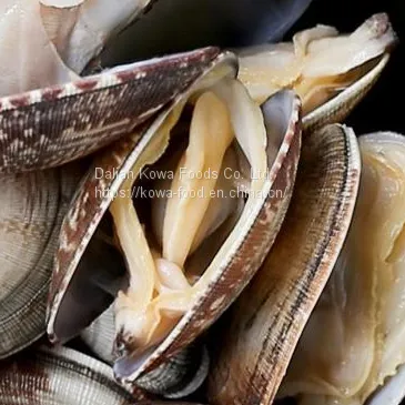 Frozen Short Neck Clam With Shell