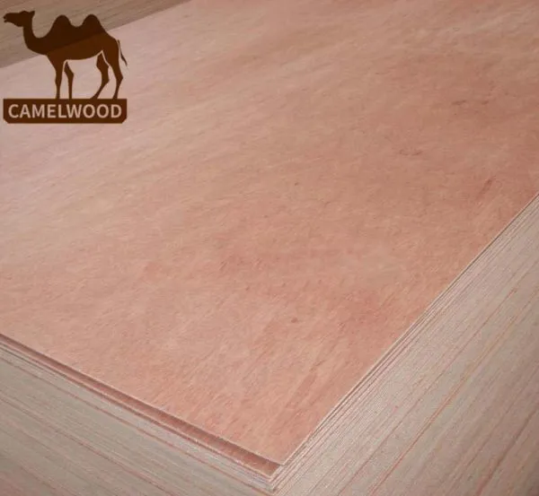 Hot Sale Best Price Commercial Plywood at Wholesale Price photo-3