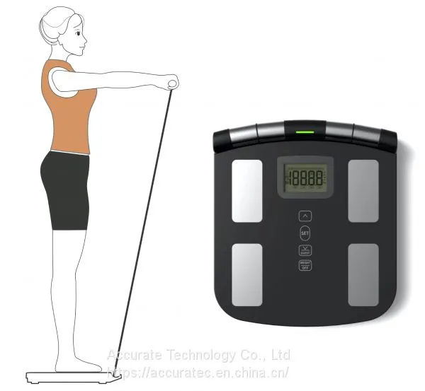 Inbody Body Composition Analyzer Scale Scanner Inbody Tanita