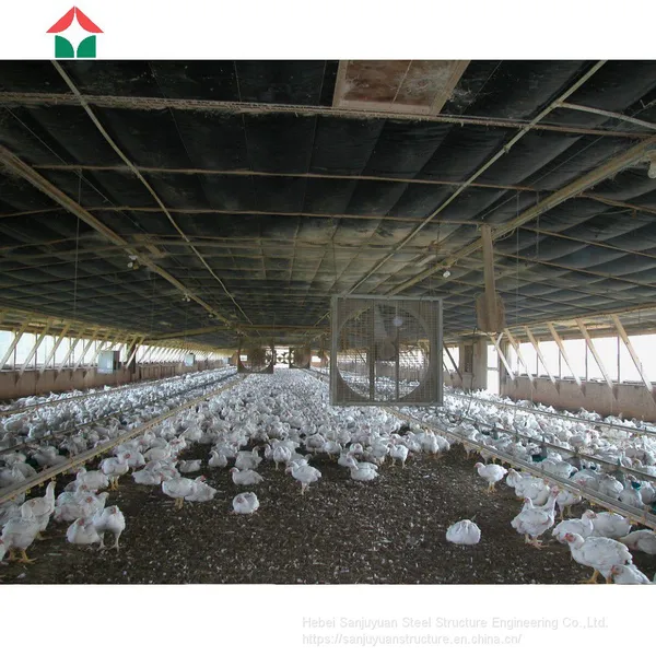 Chicken House Designs for Small Scale photo-5