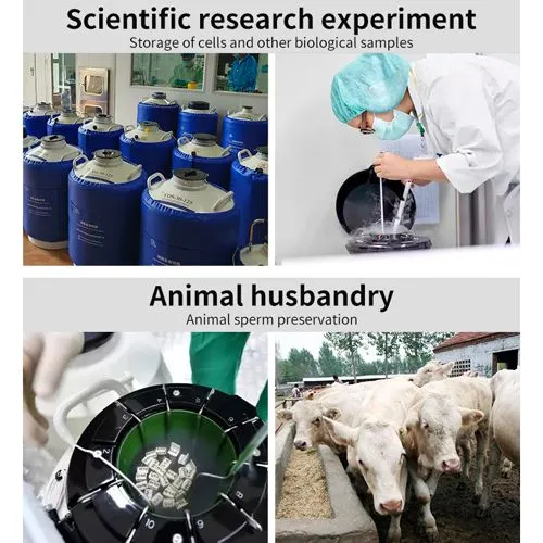 Libya Container for Sperm Collection KGSQ Semen Canister photo-4