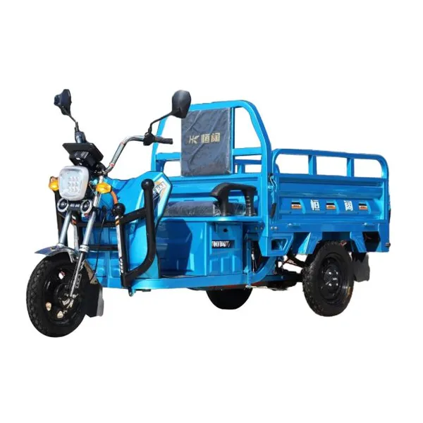 1.3 Meter 800w 650w China Cheap 3 Wheel Nigeria Tricycle Electric Cargo