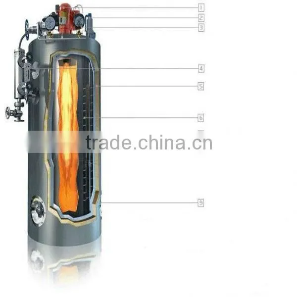 Vertical Boiler CNG Compress Natural Gas Fired Steam Boiler With Best Price photo-4