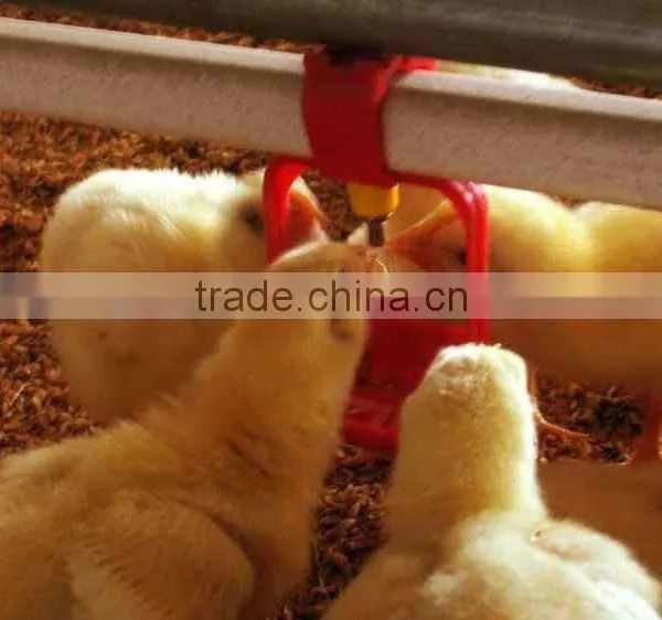 BIRDSITTER Poultry Farming Automatic Fried Chicken Equipment for Broiler photo-4