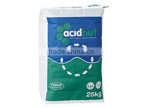 Paper Bag photo-2