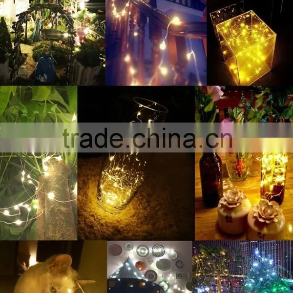 Christmas Holiday Name and 3v 6v 12v 24v Voltage Strobe Light String