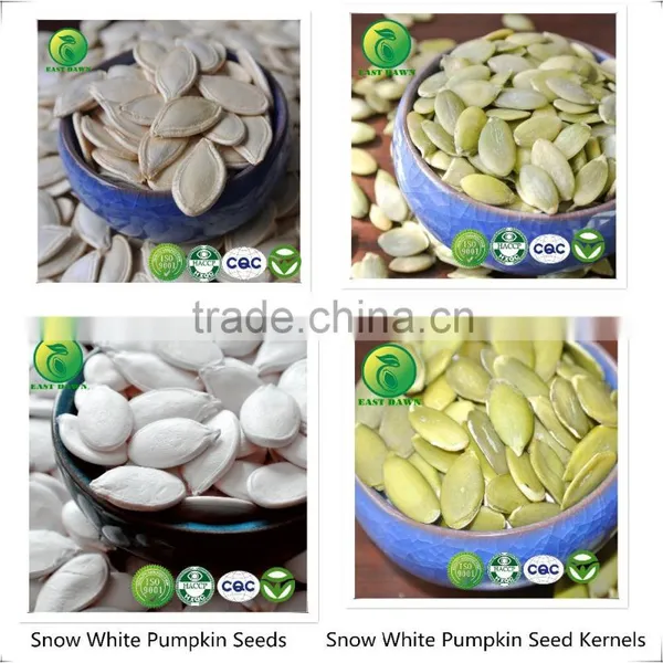 Chinese Bulk Black Sunflower Seeds With Good Quality 2015 New Crop photo-5