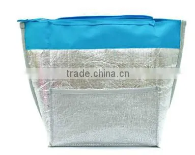 Promotion Insulated Cooler Picnic Bag for Ladies China Supplier photo-4