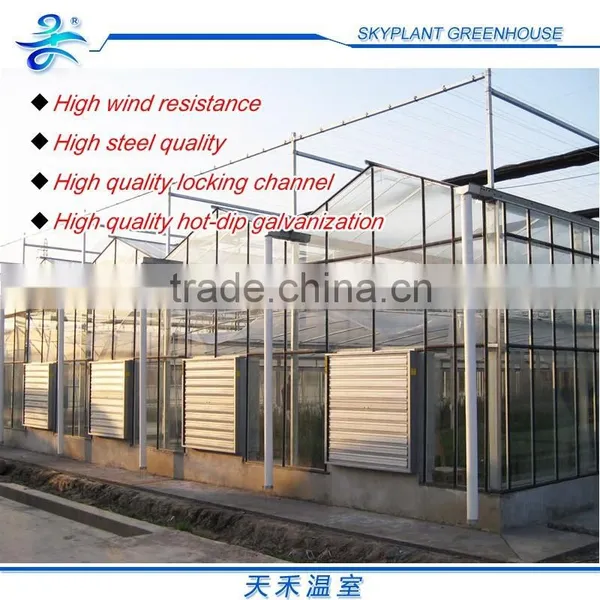 Venlo Multi-Span Polycarbonate Sheet Greenhouse