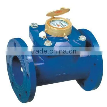 Removable Woltman Water Meter