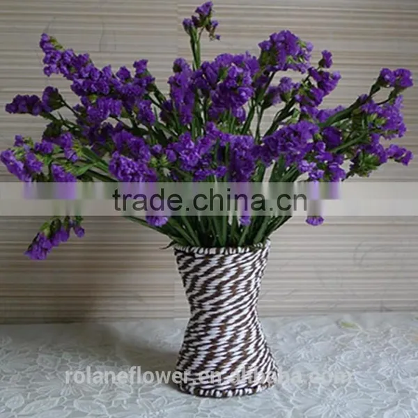the Beautiful Decorative Foliage Purple Myosotis Flower photo-6
