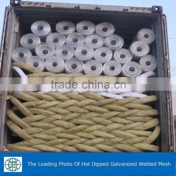 Hot Dipped Galvanized Welded Wire Mesh For Farm Fencing photo-2
