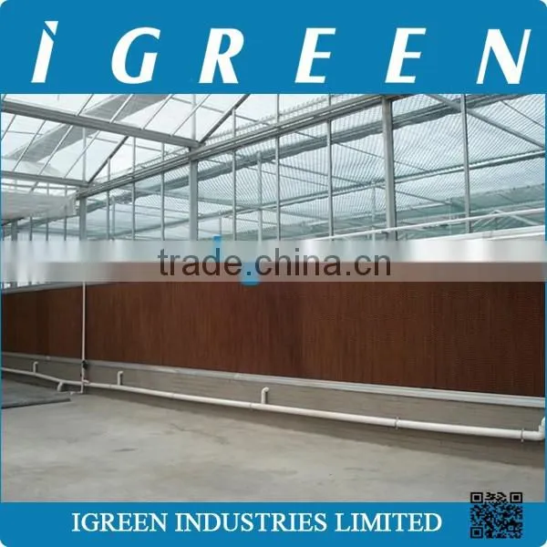 Commercial Glass Greenhouse for Flower photo-5