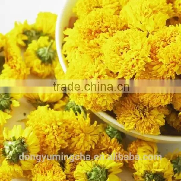 Chrysanthemum Chinese Teas Benefits for Chinese Herbal Remedies photo-2