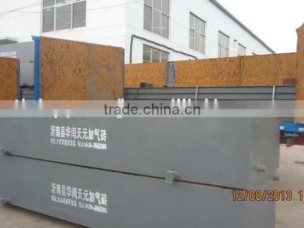 TOP Quality Fully Automatic Autoclaved Light Weight Concrete Block Making Machine for Sales - TIANYUAN BRAND photo-3