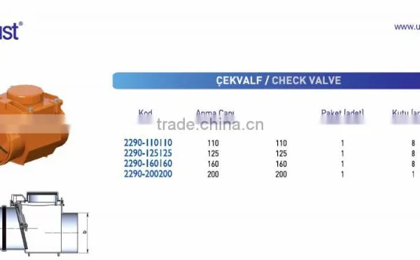 PVC Pipe Fitting Check Valve photo-2