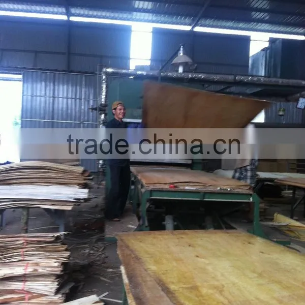 no Rot, no Defect Plywood Cheap Plywood for Packing photo-5