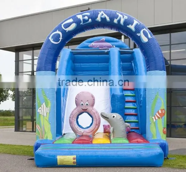 Inflatable Dry Slide for Sale, Cheap Price Inflatable Slide photo-3