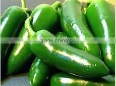 Jalapeno Pepper in Jars photo-4