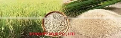 VIETNAM RICE photo-5